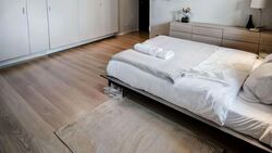 Duet (D10), Condominium #530076291